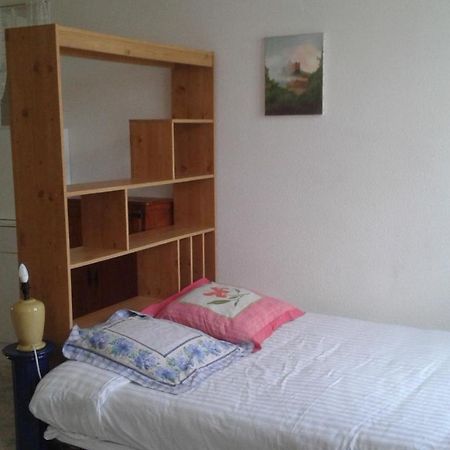 Apartamento Le Sultan Du Theron 3Em Etage Le Puy-en-Velay Exterior foto